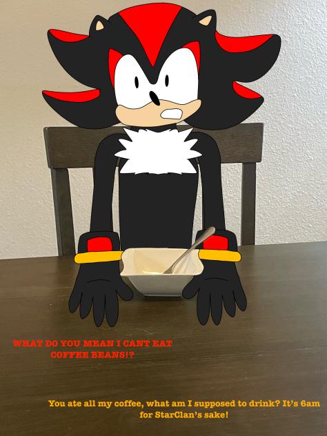 Shadow broke into my house wtf