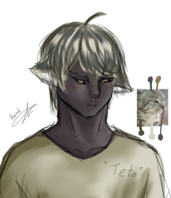 My cat - ibisPaint