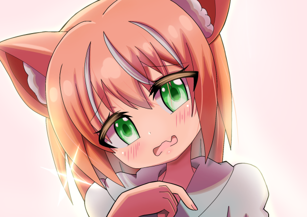 oc cat