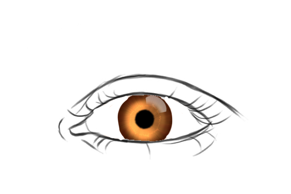Eye