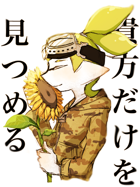 向日葵