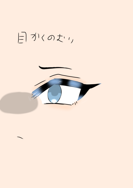 目描いてみた