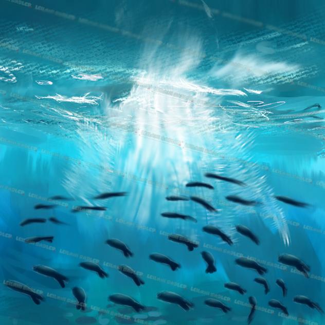 🪼🐟