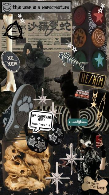 BLACK DOG THERIAN