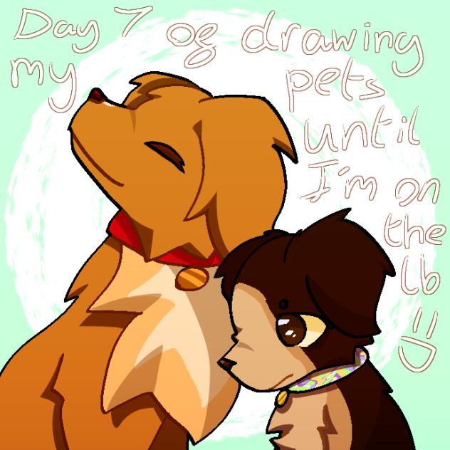 Day 7 of drawing my pets! - ibisPaint
