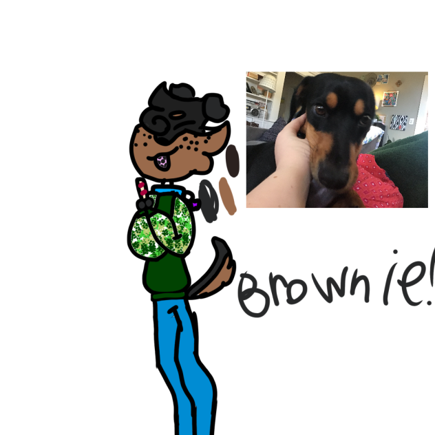 I made my dog a furry!