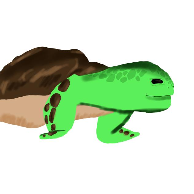 🐢 Turtle 🐢