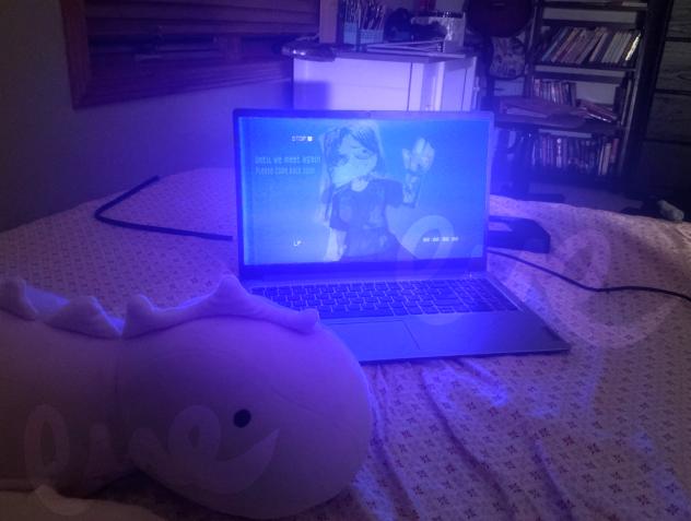 Chronically ill and online
