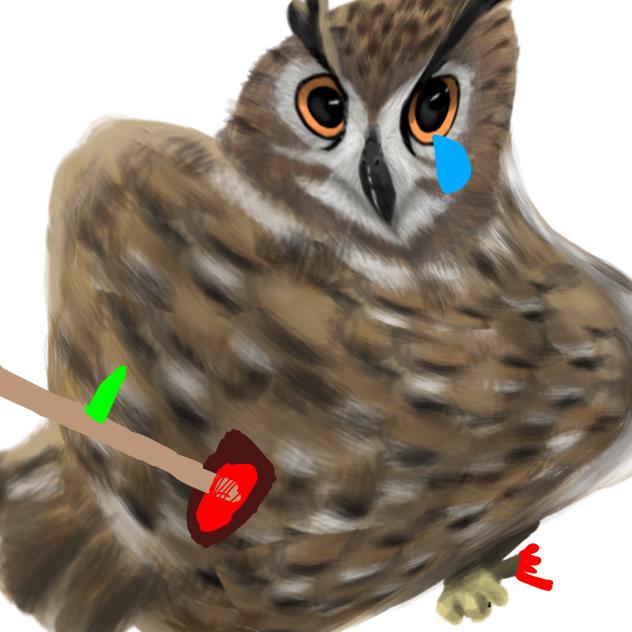 Heal the bird!