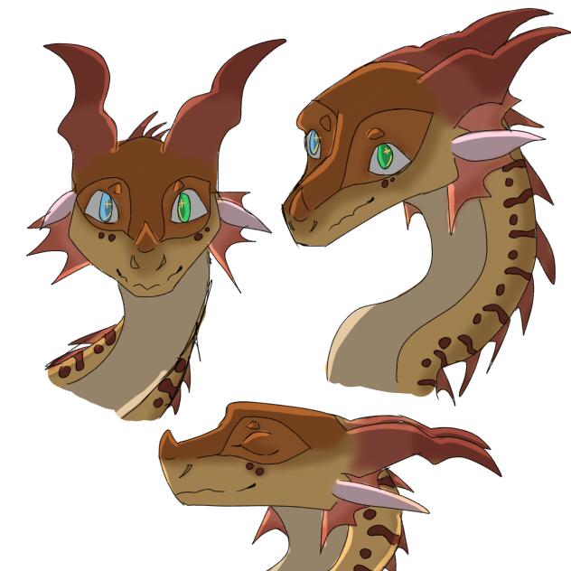 New oc!
