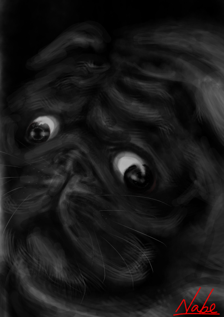 愛犬 pug  殿くん