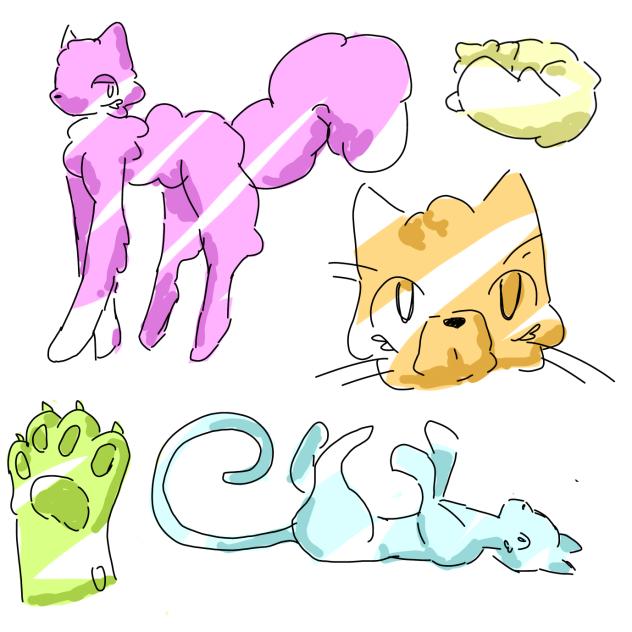 Random cat sketches