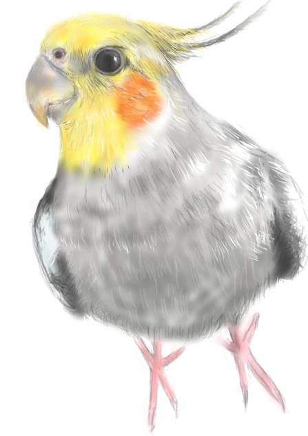 オカメ