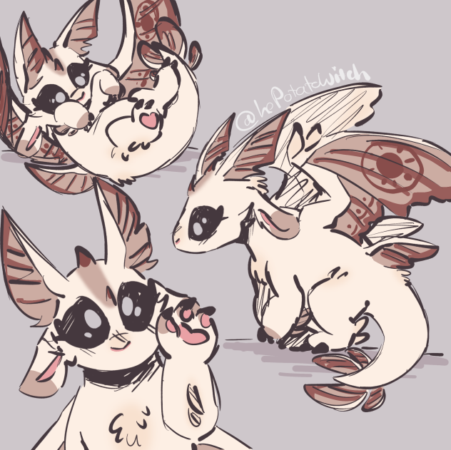 •Moth Dragon concept•