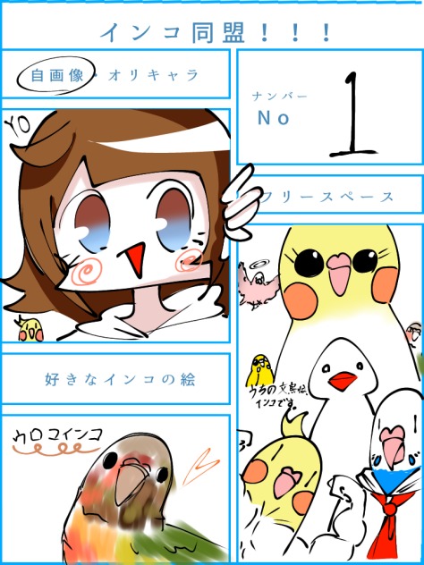インコ同盟‼︎