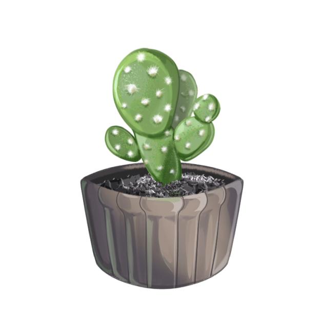 series of mini succulent 5