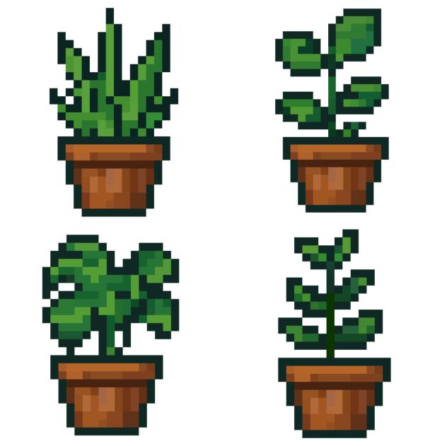 plants