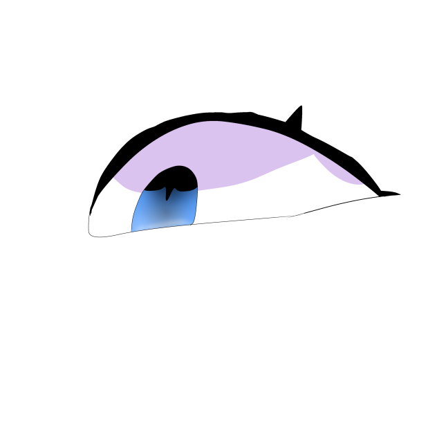 OC EYE EVERY