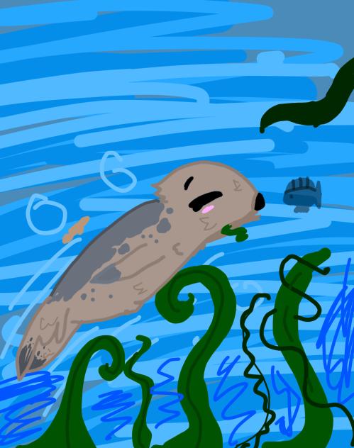 LUCKY the seal