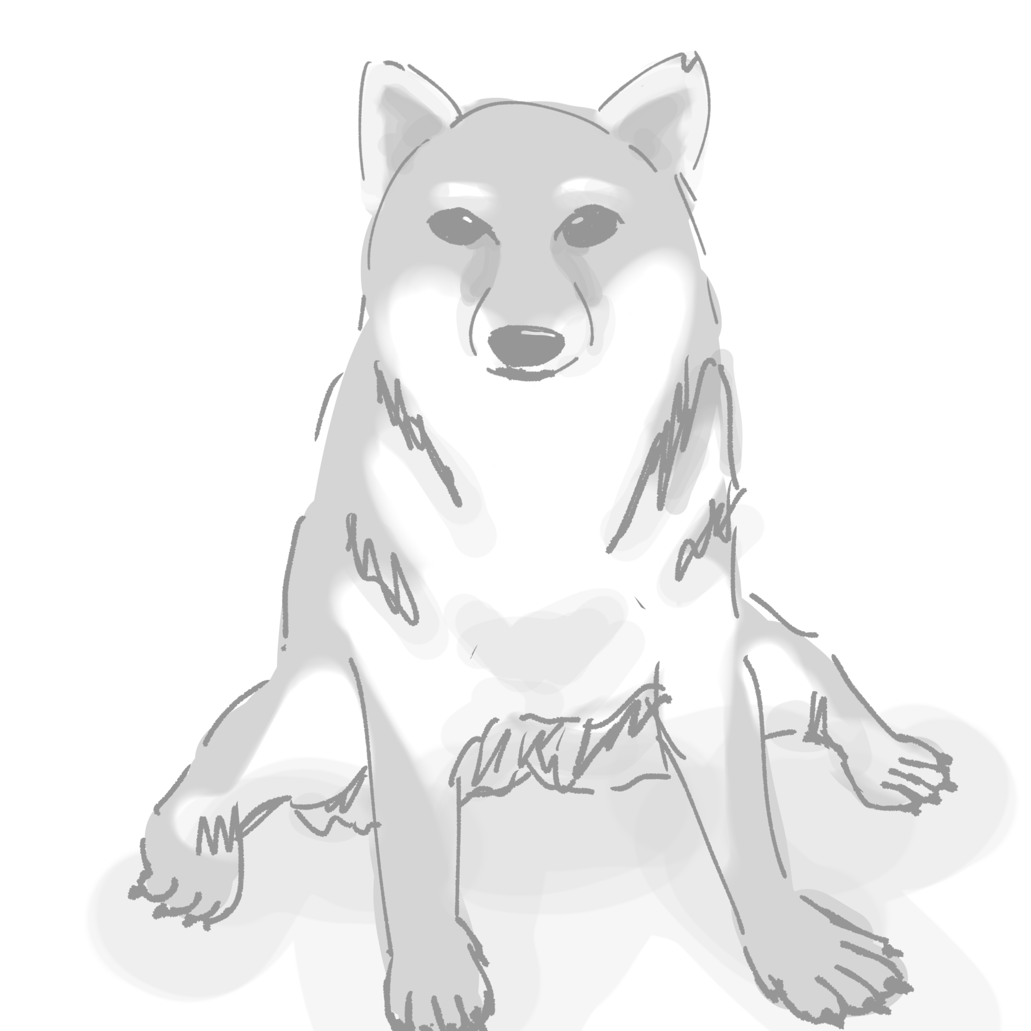 柴犬 Ibispaint