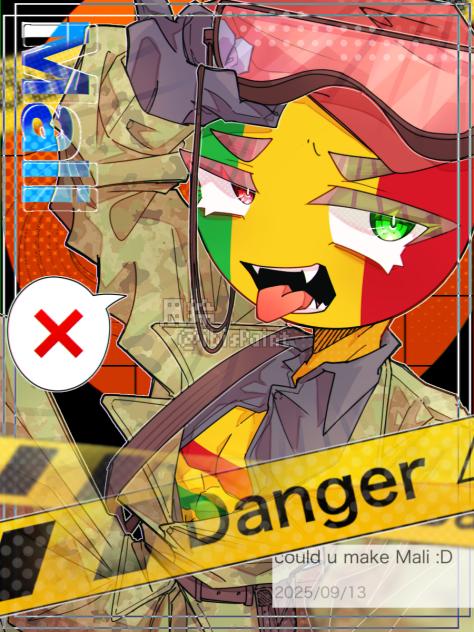 🇲🇱マリ🇲🇱