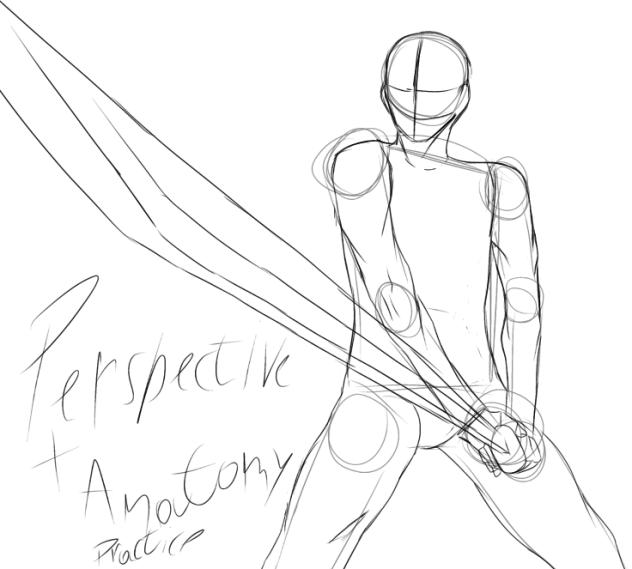 Perspective n anatomy practice