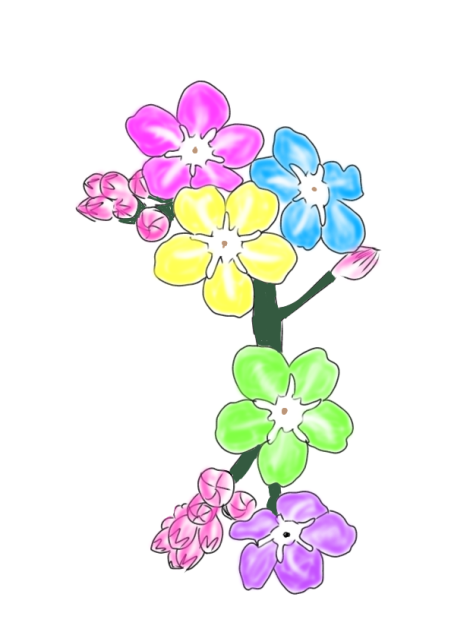 Flowers - ibisPaint
