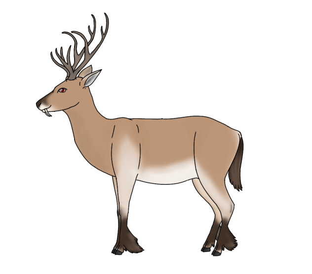 Siehnam