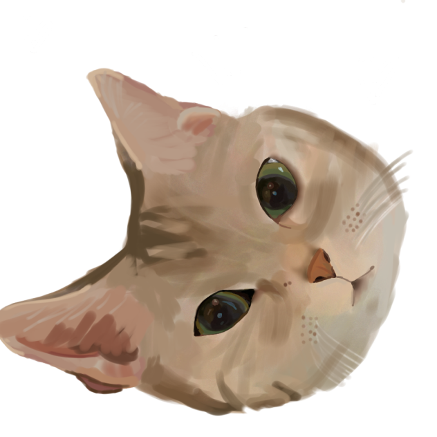 realistic cat head FINISHEDD