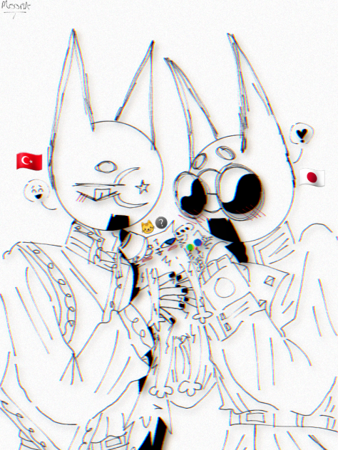 Türkiye 🤝🏻 Japan 💞( VAN CAT  😼⚃⚄ )
