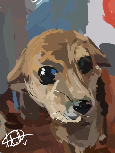 dog - ibisPaint