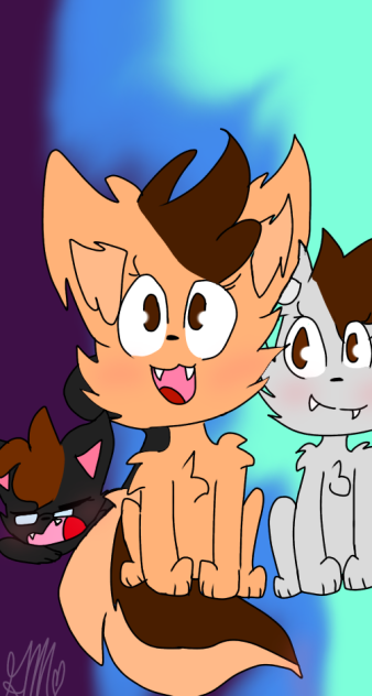 animals krew