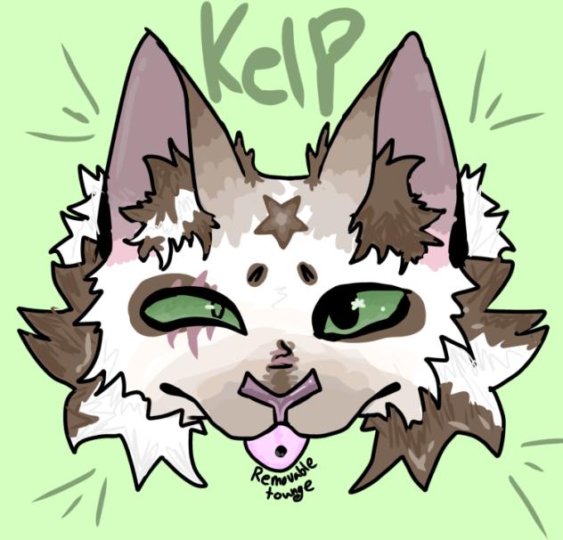 Kelp !