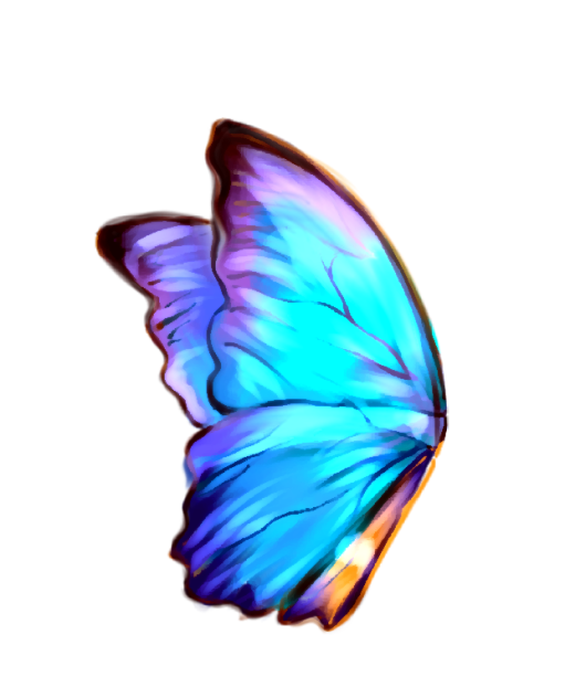 Iridescent blue butterfly 🦋