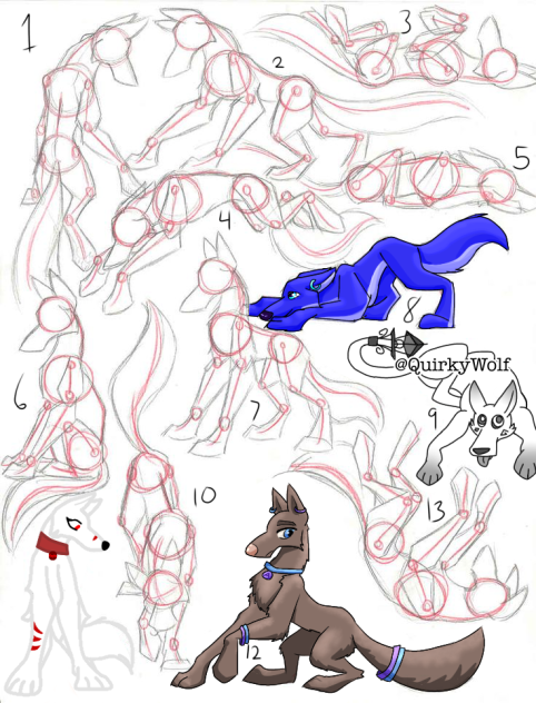 Dog Collab’s