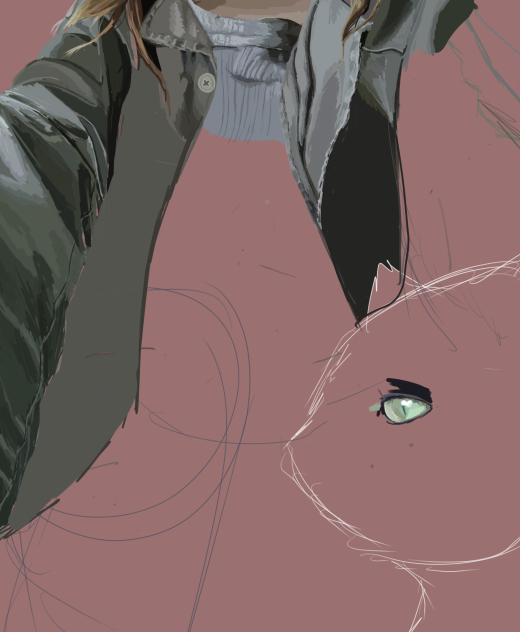 wip(kitty x 2)