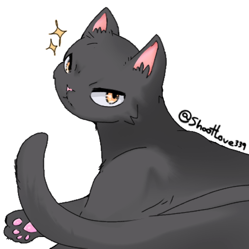 #OC ถ้าน้องๆเป็นแง้ว น้องซึน😾