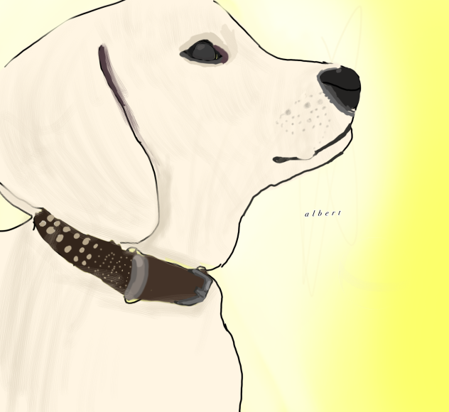 albert