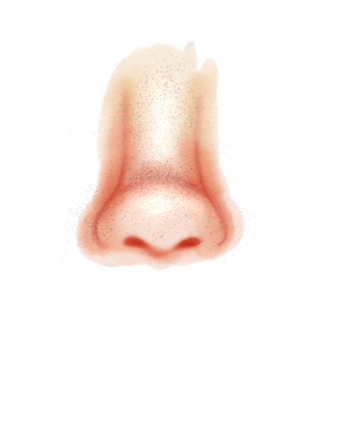 Nose lol
