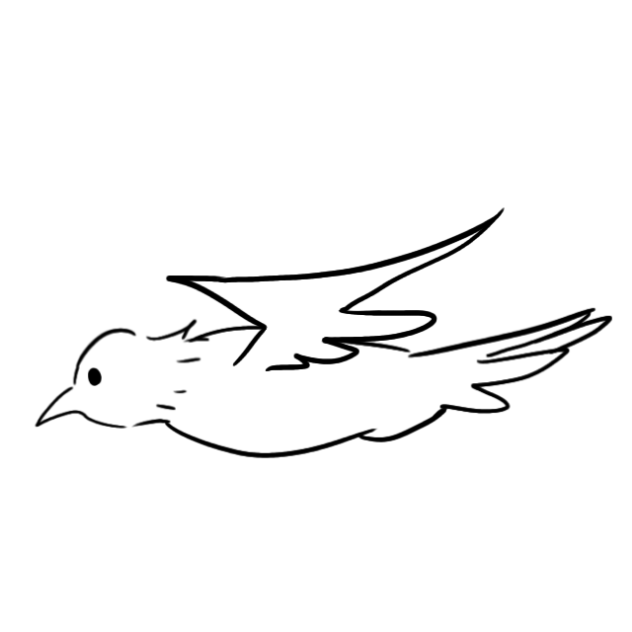 새 Bird