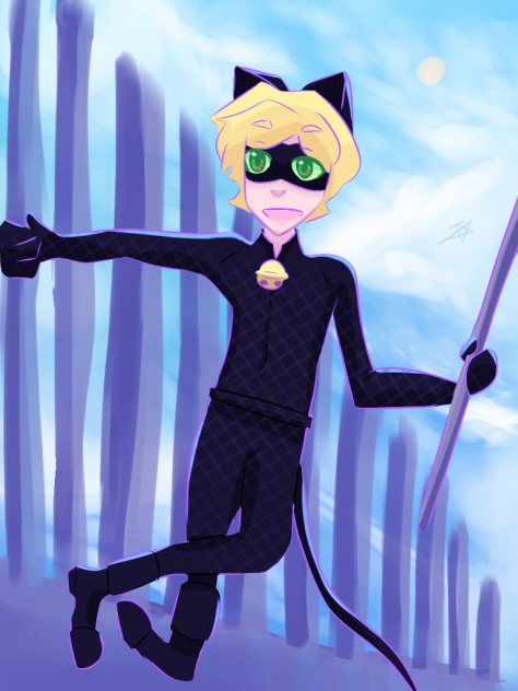 chat noir ❤️