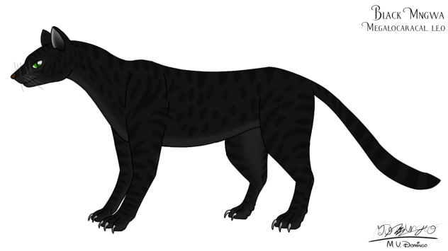 Black Mngwa (fixed)