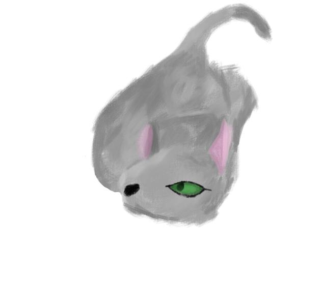 MEOW