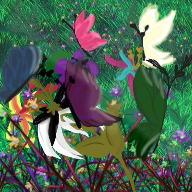 Butterfly