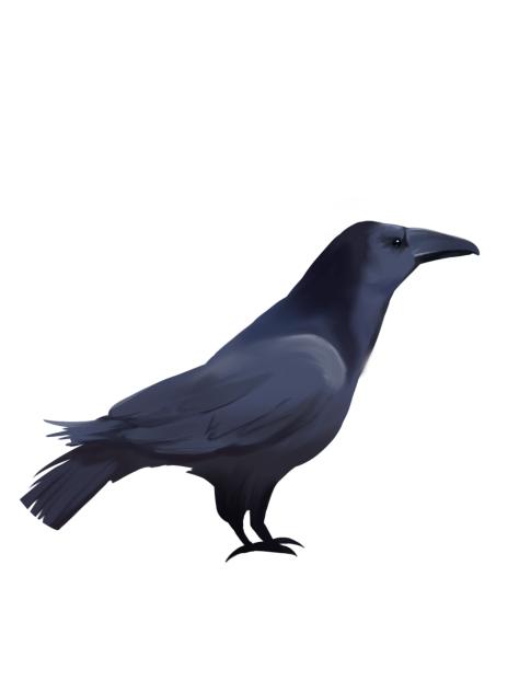カラス