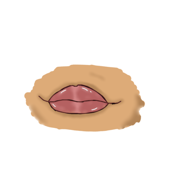 My first drawing of 💄LIPS💄