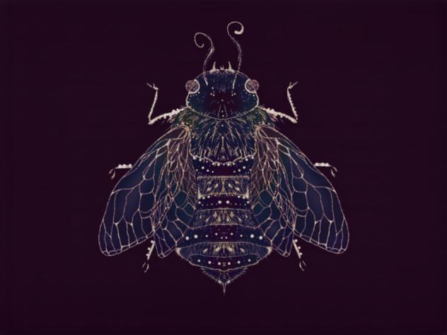 Iridescent Bug - ibisPaint