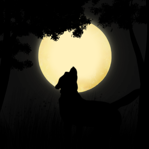 Howl