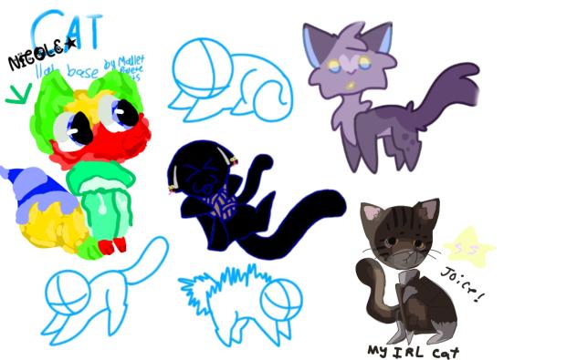 cat collab