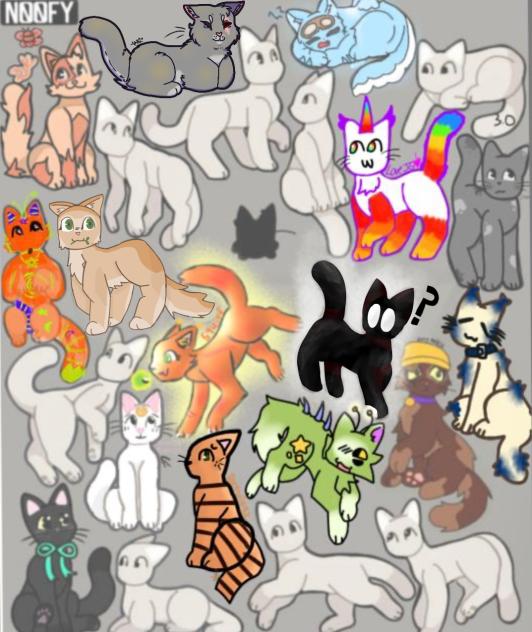 Cats collab!
